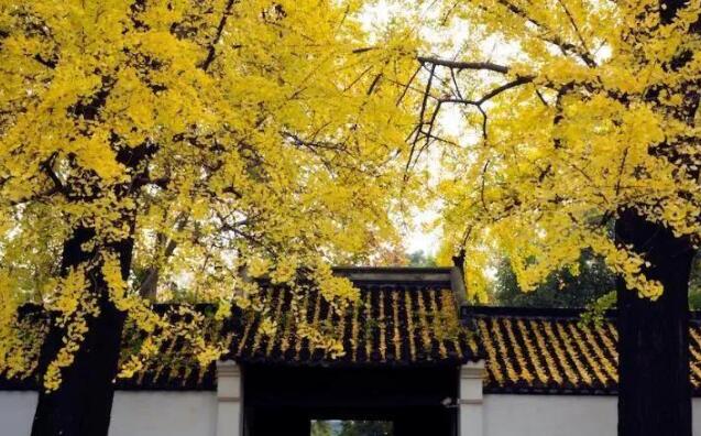扬州旅游景点攻略，江苏扬州值得推荐的十个旅游景点