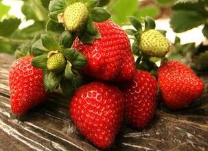 维生素C含量最高的十种水果排行榜