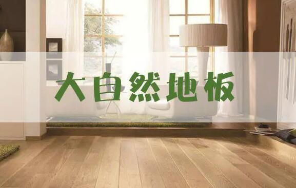 中国木地板十大品牌排行榜，地板选哪个品牌好