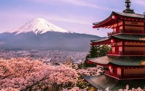 去日本大阪留学要花多少钱？