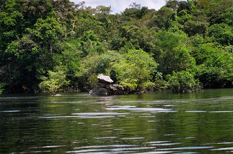 49、亚马逊河中心综合保护区