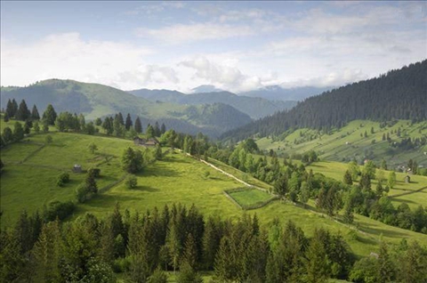 67、喀尔巴阡山脉原始山毛榉森林和德国古山毛榉森林