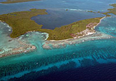 126、伯利兹堡礁保护区