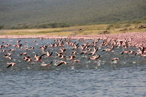 158、肯尼亚在东非大裂谷湖泊系统