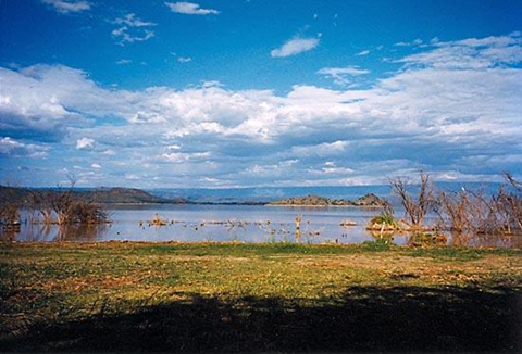 158、肯尼亚在东非大裂谷湖泊系统