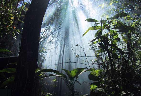 168、辛哈拉加森林保护区